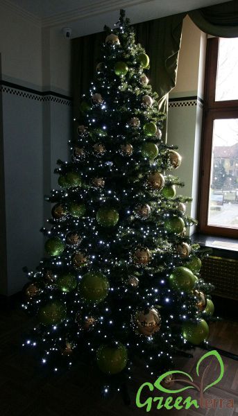 Ель интерьерная "Эксклюзив Слим" Ель интерьерная "Эксклюзив Слим"